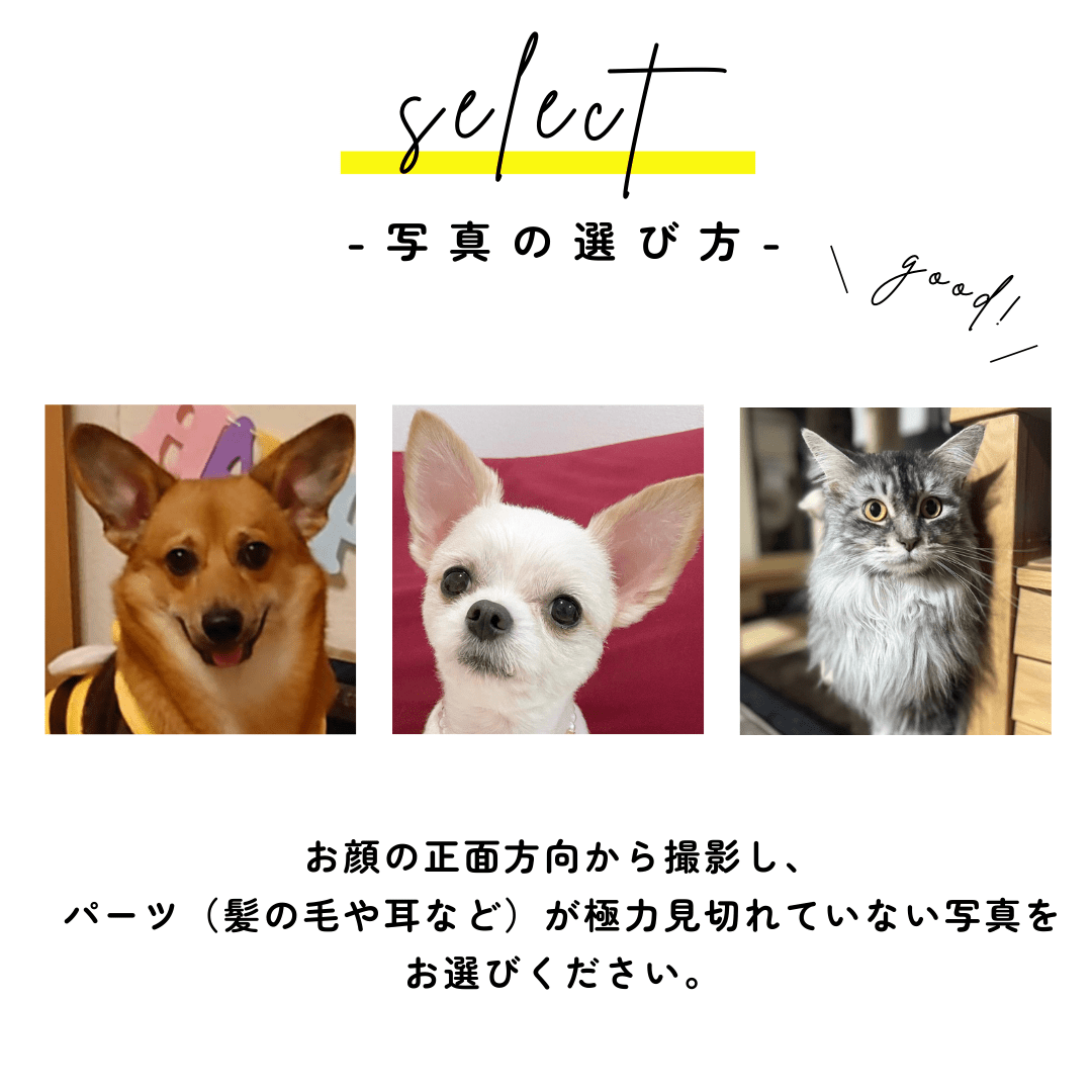 ソフトケース ツーポイント（イラスト調）【A：写真から】