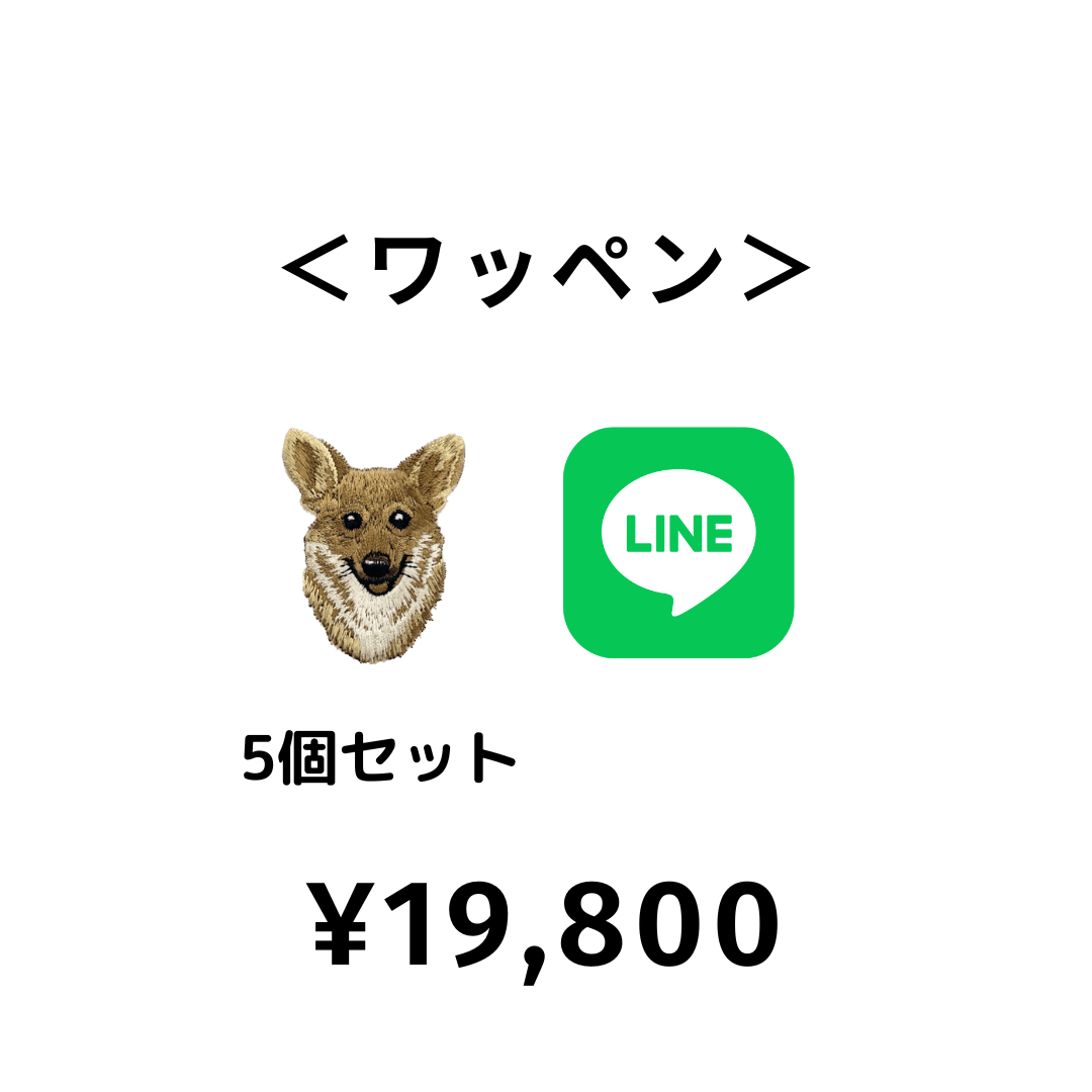 【LINE注文⑧】¥19,800　＜ワッペン（5個セット）＞